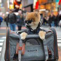 Mr. Peanut's Gold Series Standard Size Airline Compliant Expandable Pet Carrier
