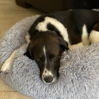 Mr. Peanut's 28" OrthoPlush® Pet Bed - Snowflake White Two Tone