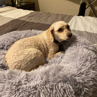 Mr. Peanut's 28" OrthoPlush® Pet Bed - Snowflake White Two Tone