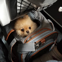 Mr. Peanut's Gold Series Standard Size Airline Compliant Expandable Pet Carrier