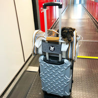 Mr. Peanut's Gold Series Standard Size Airline Compliant Expandable Pet Carrier
