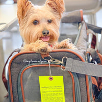 Mr. Peanut's Gold Series Standard Size Airline Compliant Expandable Pet Carrier