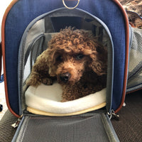 Mr. Peanut's Gold Series Big Apple XL Size Airline Compliant Expandable Pet Carrier