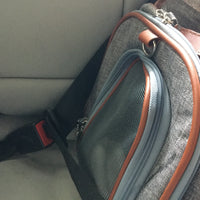 Mr. Peanut's Gold Series Standard Size Airline Compliant Expandable Pet Carrier