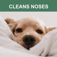 Mr. Peanut's Naturals Plant Based, Flushable, Compostable, Unscented Pet Wipes, 160 Count, Larger 8x6" Size