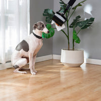 Mr. Peanut's 32" Tall Profile Pooper Scooper
