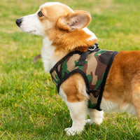 Mr. Peanut's PupTrek Harness and Leash Set,  Small Dog/Cat Soft Mesh Step In Harness Vest