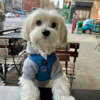 SoHo Dog Harness - Denim