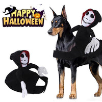 Scary Spider Rider Pet Halloween Costume