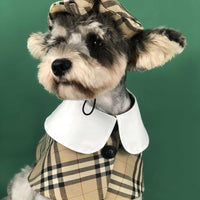 British Chic Canine Couture