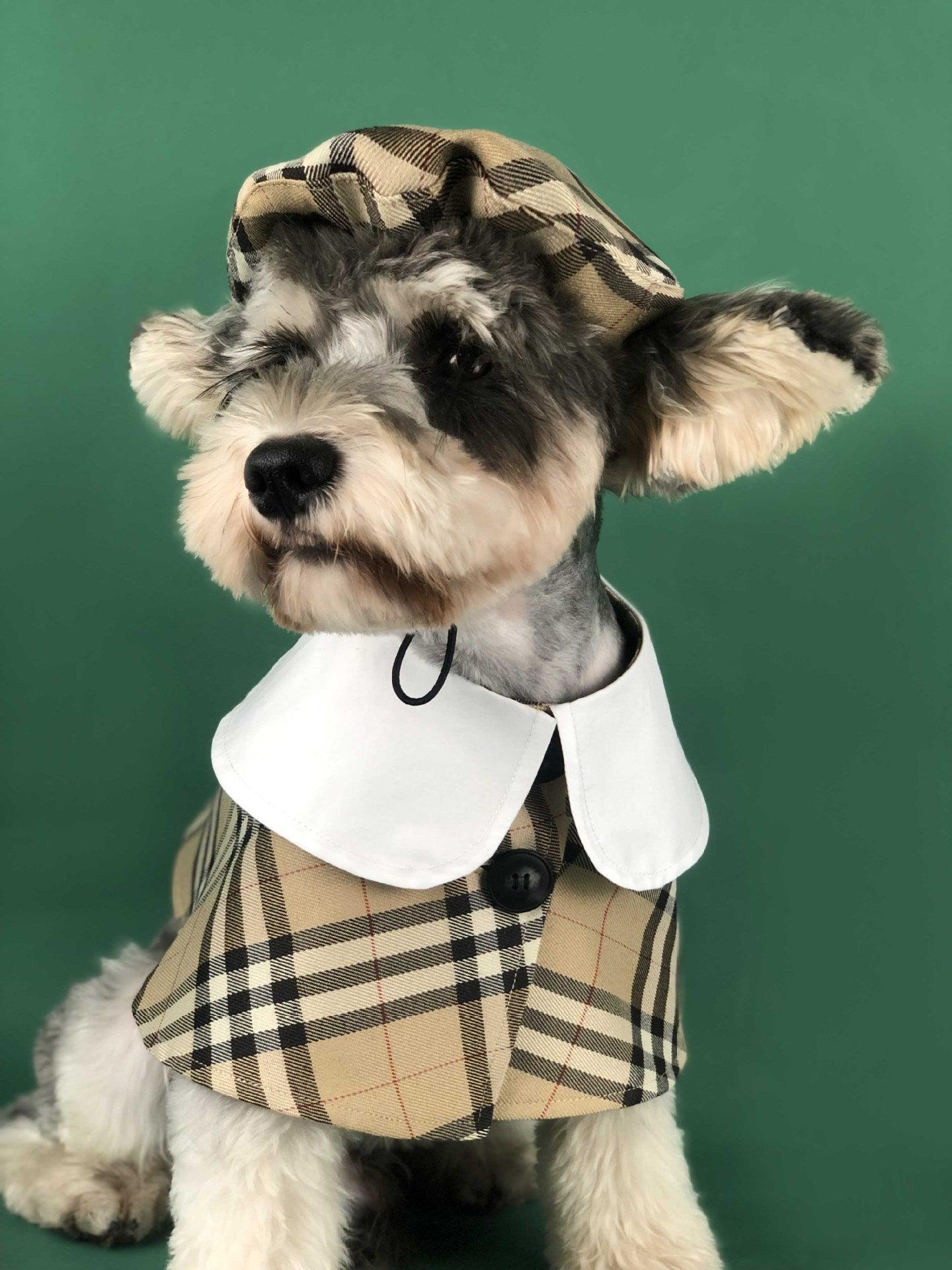 British Chic Canine Couture