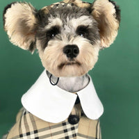 British Chic Canine Couture
