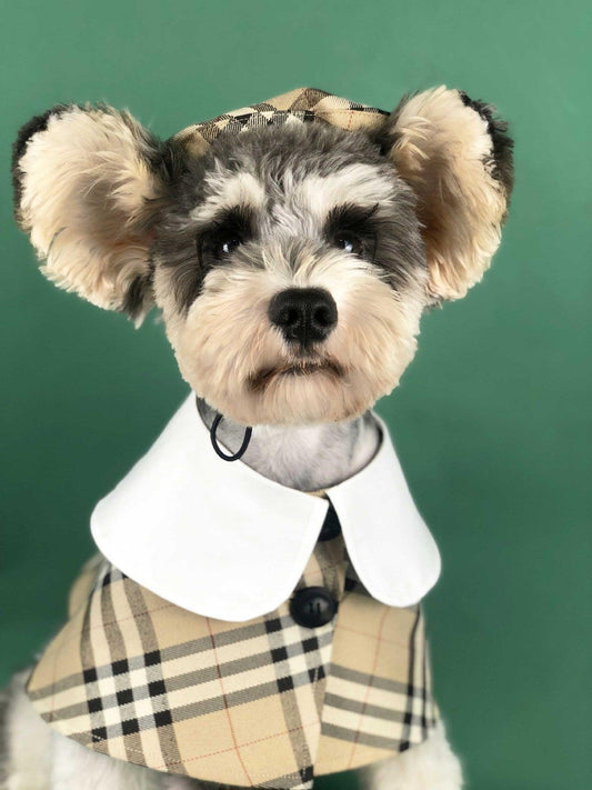 British Chic Canine Couture