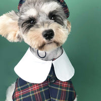 British Chic Canine Couture