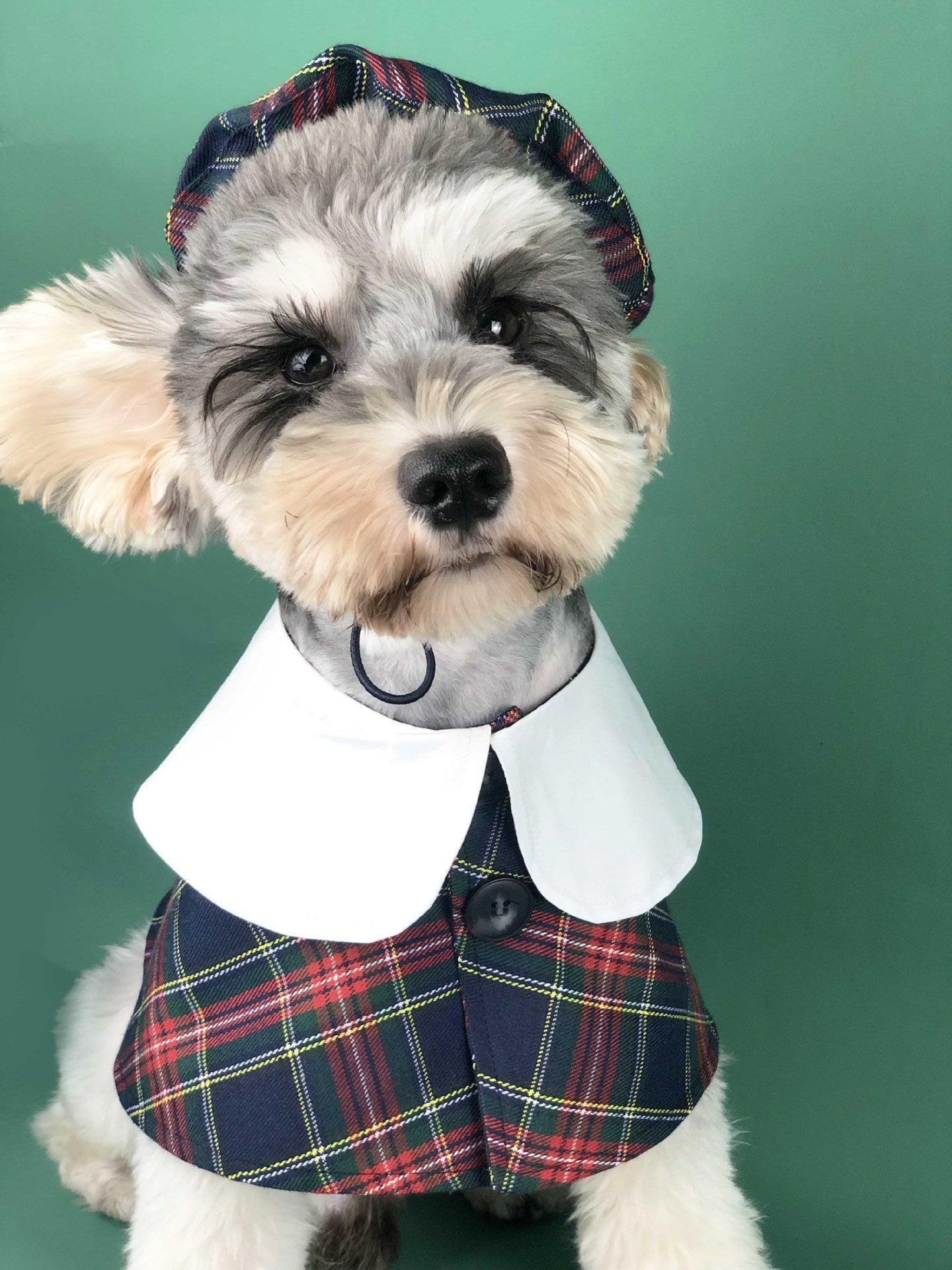 British Chic Canine Couture