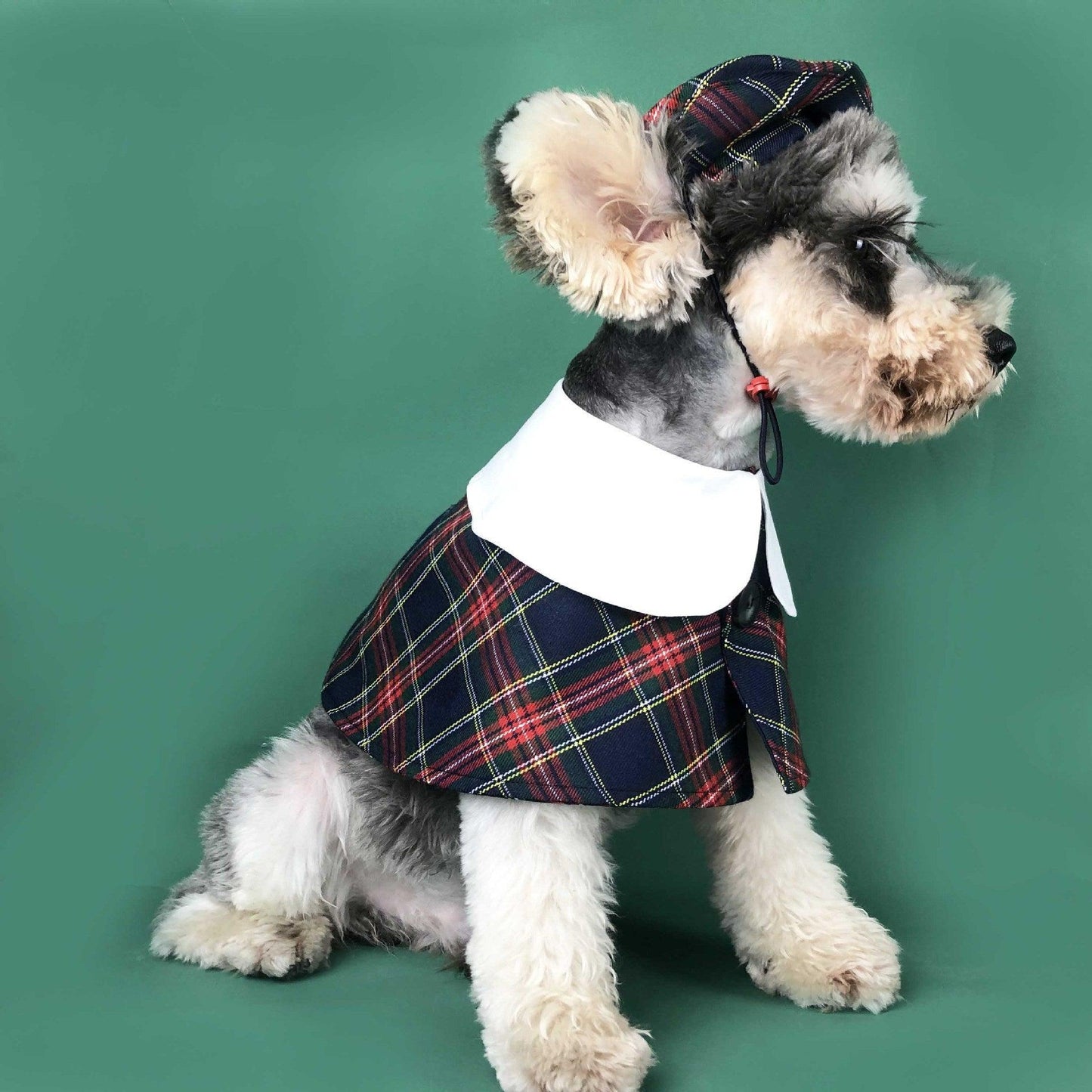 British Chic Canine Couture