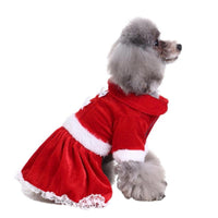 Festive Canine Couture: Christmas Dog Costume Collection