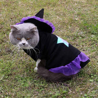 Christmas Enchanter Pet Halloween Dog Costume