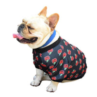Cozy Canine Couture: Spring And Autumn Teddy Dog Clothing