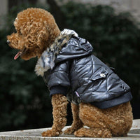 Cozy Canine Couture: Stylish Autumn And Winter Fur Collar Dog Coat