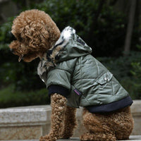 Cozy Canine Couture: Stylish Autumn And Winter Fur Collar Dog Coat
