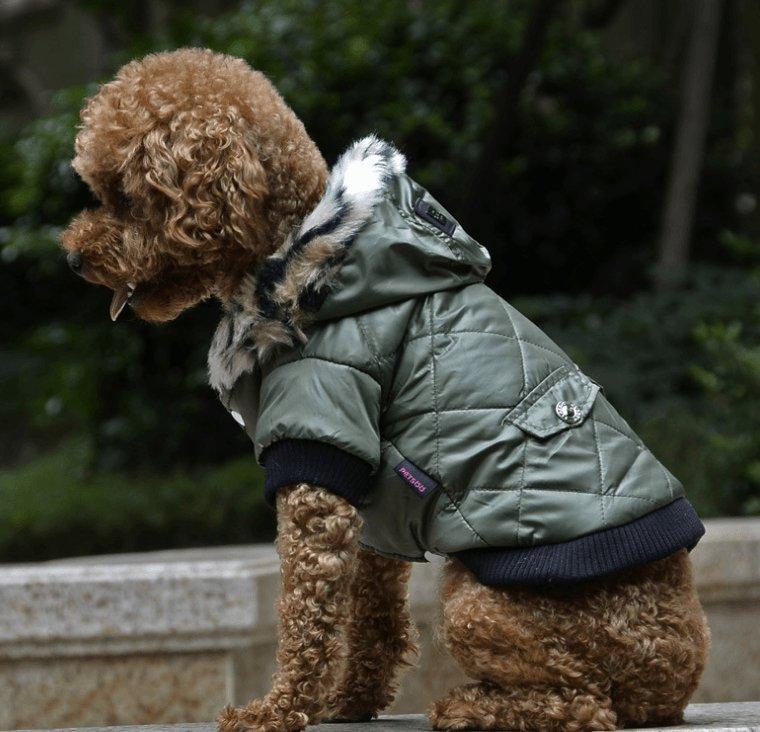Cozy Canine Couture: Stylish Autumn And Winter Fur Collar Dog Coat