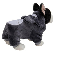 Cozy Canine Couture: Stylish Pet Dog Turned Clothes In Vibrant Hues
