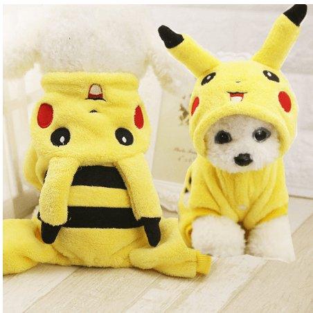 Cozy Canine Couture: Stylish Pet Dog Turned Clothes In Vibrant Hues