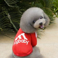 Cozy Canine Couture: Stylish Pet Hoodies For Small Dogs And Cats
