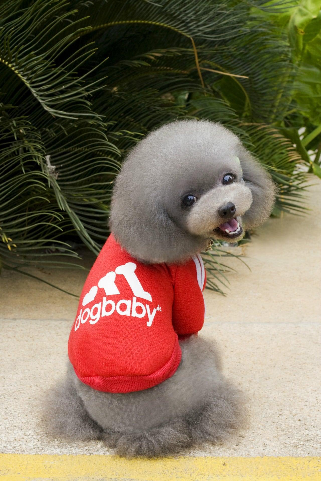 Cozy Canine Couture: Stylish Pet Hoodies For Small Dogs And Cats