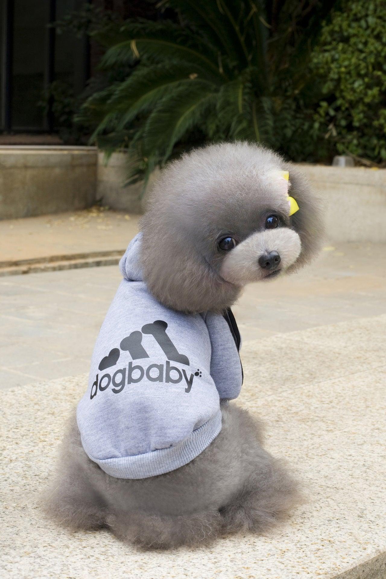 Cozy Canine Couture: Stylish Pet Hoodies For Small Dogs And Cats