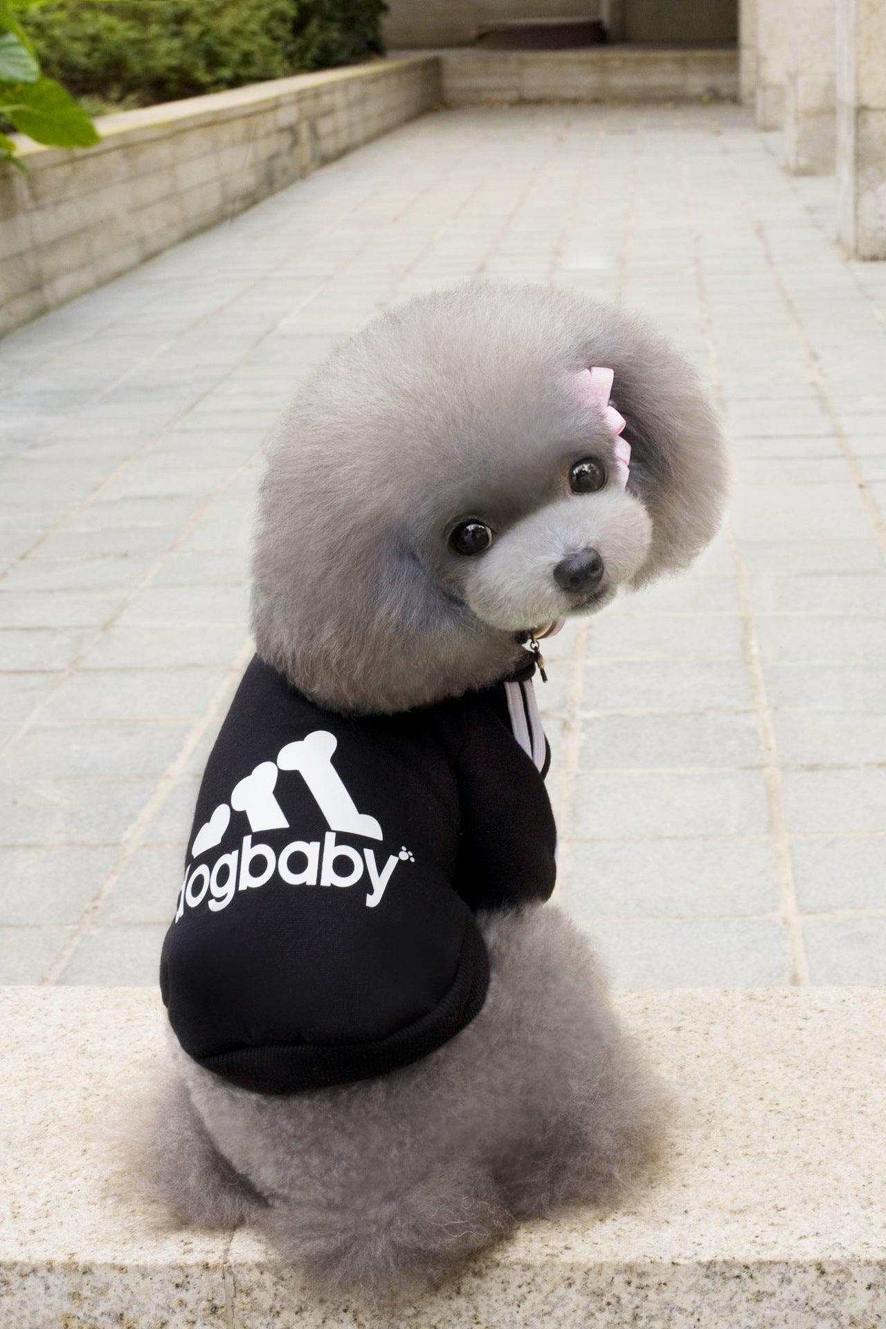 Cozy Canine Couture: Stylish Pet Hoodies For Small Dogs And Cats