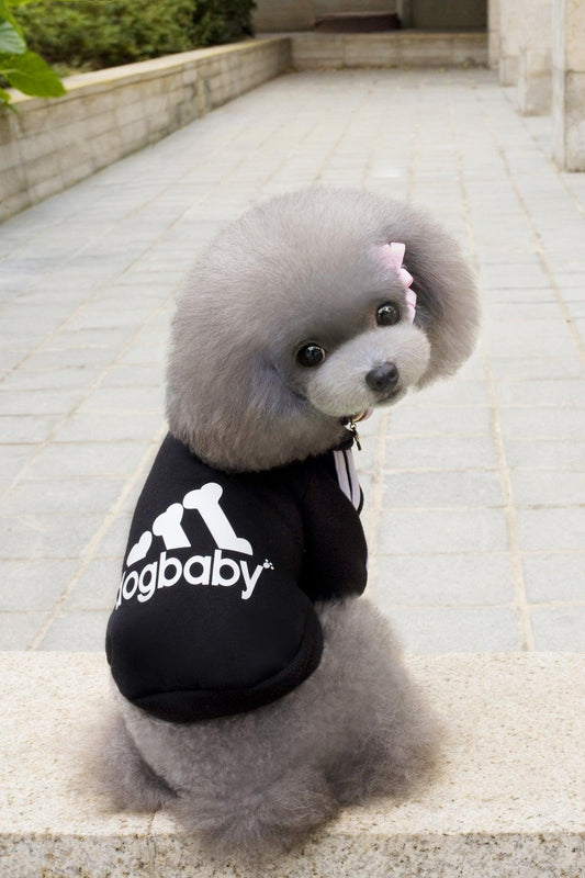 Cozy Canine Couture: Stylish Pet Hoodies For Small Dogs And Cats