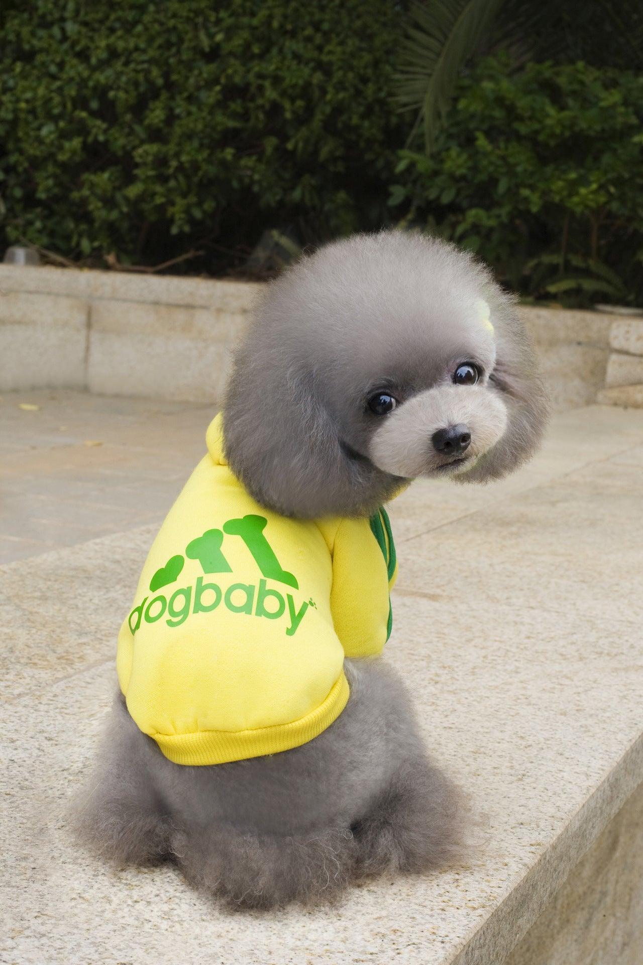 Cozy Canine Couture: Stylish Pet Hoodies For Small Dogs And Cats