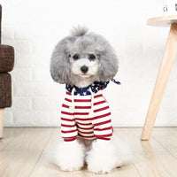 Cozy Knit Two-Legged Cat Costume For Small Dogs