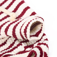 Cozy Knit Two-Legged Cat Costume For Small Dogs