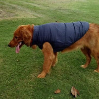 Cozycanine Waterproof Pet Jacket: Stylish Outdoor Attire For Your Furry Friend