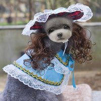 Festive Pet Couture: Hilarious Holiday Pet Attire For A Pawsome Christmas!