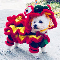 Funny Lion And Horse Pet Costume - Perfect For A Hilarious Cat And Dog Dance Party!