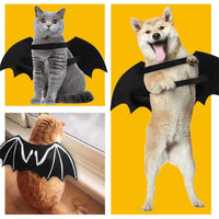 Luminous Bat Wings Dog Costume - Transform Your Pup Into A Mysterious Creature!