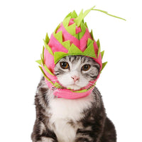 Tropical Dragon Fruit Pet Hat: A Fun And Stylish Costume For Dogs And Cats