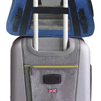 Mr. Peanut's Copper Series Airline Compliant Pet Carrier, Tall Profile Soft Sided Luxury Travel Tote