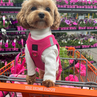 SoHo Dog Harness - Park Ave Pink